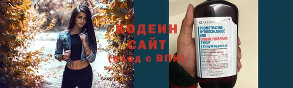 кокс Вяземский